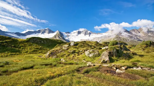 Das Schwarzensteinmoor mit Blick auf den Zillertaler Hauptkamm | Foto: Naturpark Zillertaler Alpen