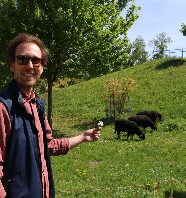 Die Garten Tulln Mitarbeiter Patrick Adam begrüßte die Schafe am sogenannten „Kugelfang“. | Foto: Die Garten Tulln / A. Buchinger