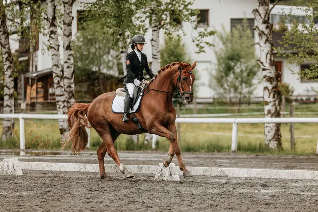 Michaela Hochgründler startete bei der Dressur. | Foto: Niki Buchegger, turnier-fotos.at