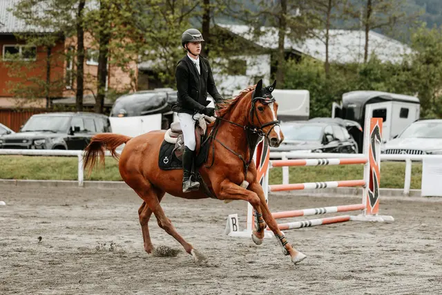 Foto: Niki Buchegger, turnier-fotos.at