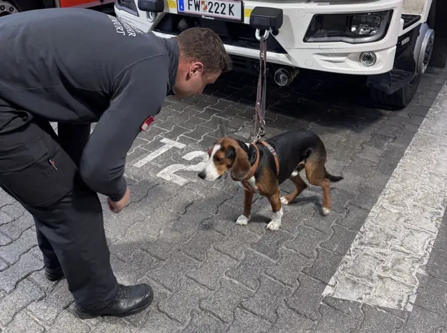 Der Besitzer von "Charlie" konnte gefunden werden. | Foto: Berufsfeuerwehr Klagenfurt am Wörthersee