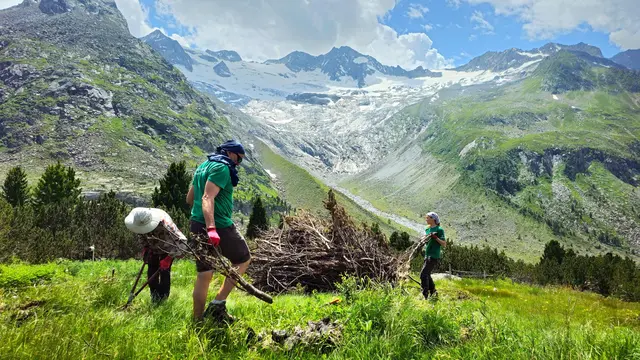 Schwendarbeiten | Foto: Naturpark Zillertaler Alpen