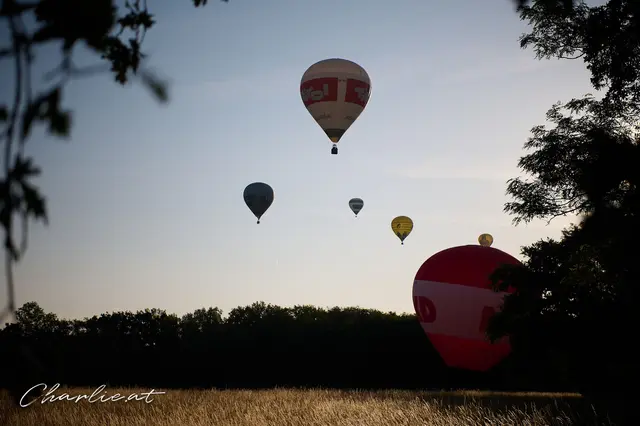 Je nach Wetterbedingungen sind Morgen- und Abendfahrten möglich. | Foto: lutunverde/charlie.at