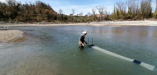 Driftnetzfischen bei Wasserburg. | Foto: TUM
