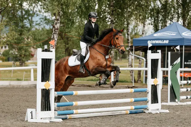 Foto: Niki Buchegger, turnier-fotos.at