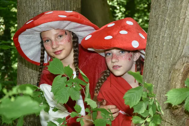 "Der Zauberwald steht Kopf" gibt es von 12. bis 14. Juni. | Foto: www.fotopolsinger.at