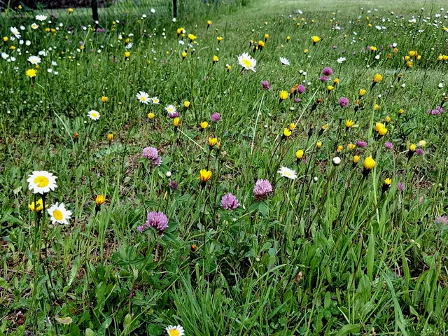 Pabneukirchen  | Foto: Heimatverein 
