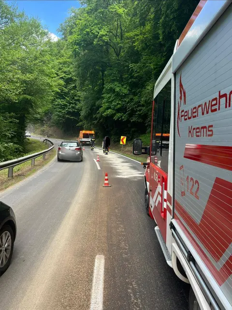Die Einsatzkräfte waren stundenlang in den Kremser Reihen beschäftigt. | Foto: FF Krems