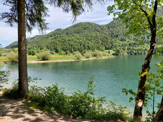 Foto: H.Bachinger