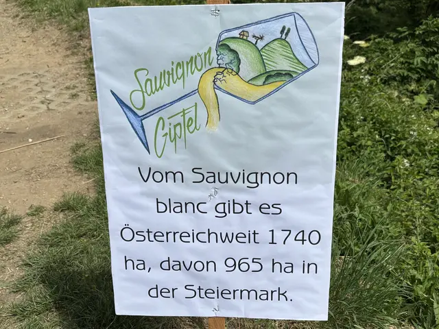 Foto: MeinBezirk/Waltraud Fischer