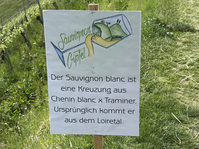 Foto: MeinBezirk/Waltraud Fischer