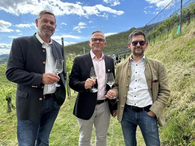 Vizebürgermeister René Kniewallner mit den Stadträten Thomas Sammer und Michael Leitgeb. | Foto: MeinBezirk/Waltraud Fischer