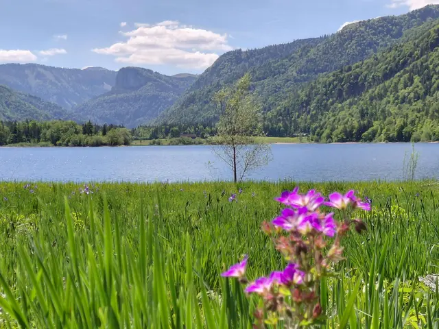 Foto: H.Bachinger
