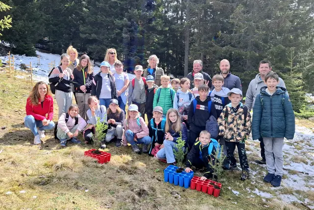 KLAR! Görtschitztal setzt mit Musterwald Zeichen für klimafitte Wälder