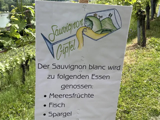 Foto: MeinBezirk/Waltraud Fischer