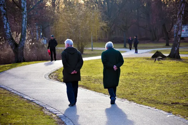 Der NÖSR lädt am 30. Mai 2026 zu einer Auftaktveranstaltung für Seniorinnen und Senioren in Poysdorf ein. (Symbolfoto) | Foto: pixabay / useche360