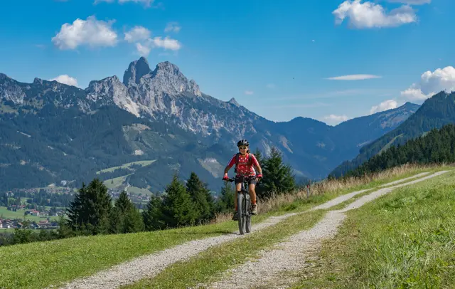 Mit dem Gravelbike und einem E-Lastendreirad fahren die beiden Freiwilligenkoordinatorinen Simone Ortner-Trebo und Angelika Koidl von Kufstein nach Lienz. (Symbolbild) | Foto: Shutterstock/Umomos