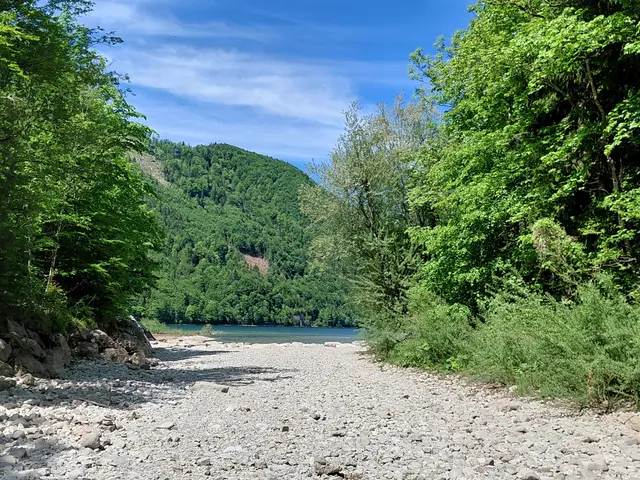 Der Zulauf ist ausgetrocknet  | Foto: H.Bachinger