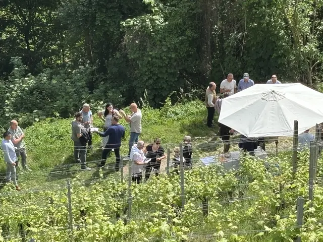 Foto: MeinBezirk/Waltraud Fischer