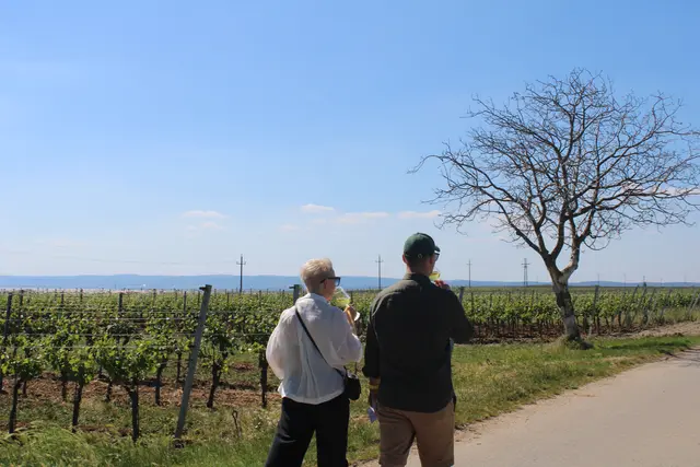 Trinken und wandern: zwei Aktivitäten, die sich am WeinWegGols perfekt ergänzen.