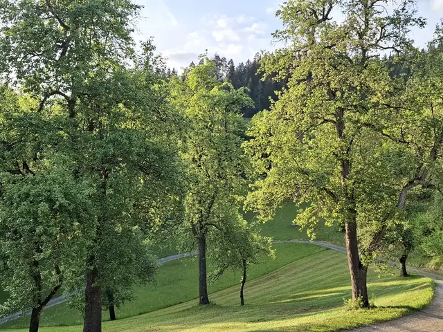 Pabneukirchen  | Foto: Heimatverein