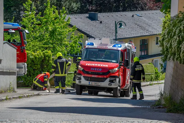Foto: Fotokerschi