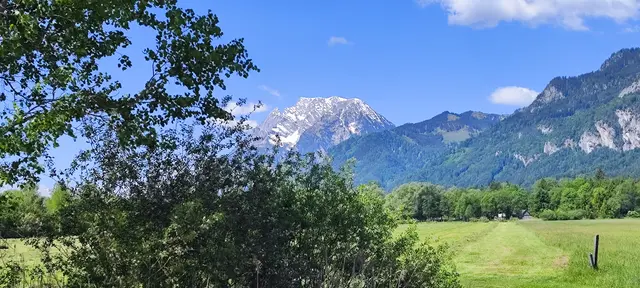 Foto: ÖLRG Bundesverband Österreich Berg und Naturwacht