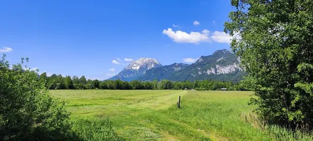 Foto: ÖLRG Bundesverband Österreich Berg und Naturwacht