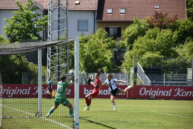 Foto: MeinBezirk/Michael Strini