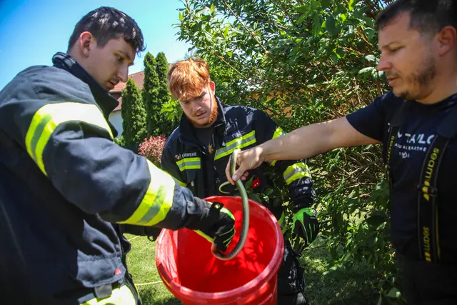 Die Einsatzkräfte der Feuerwehr konnten die ungefährliche Schlange abseits von Wohnhäusern wieder in die Freiheit entlassen. | Foto: laumat.at/Matthias Lauber
