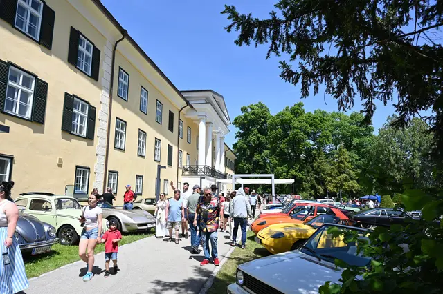 Foto: Wilfried Fischer