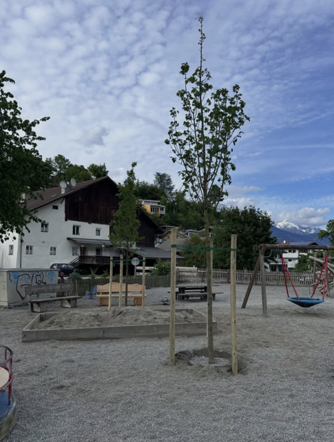 Spielplatz in Ampass mit neuen Bäumen bestückt