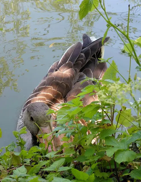 Hast du mir was mitgebracht? | Foto: H.Bachinger