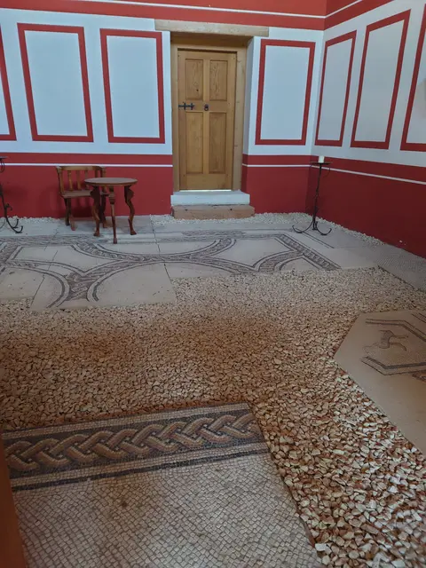 Das einzige in Carnuntum erhaltene Bodenmosaik