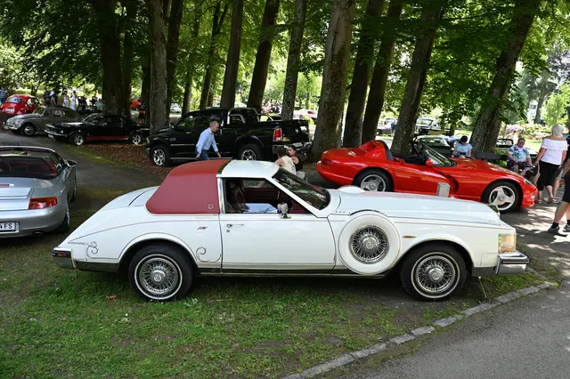 Foto: Wilfried Fischer