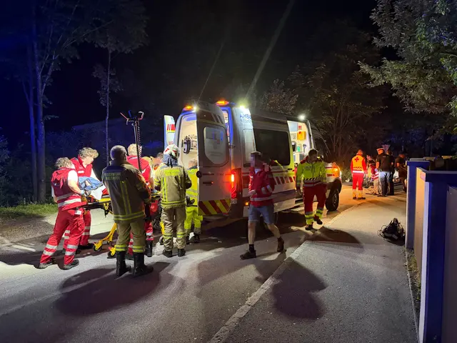 Ein E-Bike-Fahrer stürzte in Walchsee in ein Gebüsch und landete im Bereich eines Bachs. Der Mann wurde schwer verletzt ins Krankenhaus gebracht. | Foto: zoom.tirol