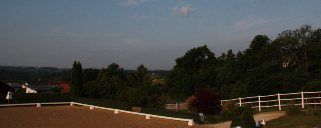 Foto: Hartberger Reitverein "RC Dressage Group Styria"