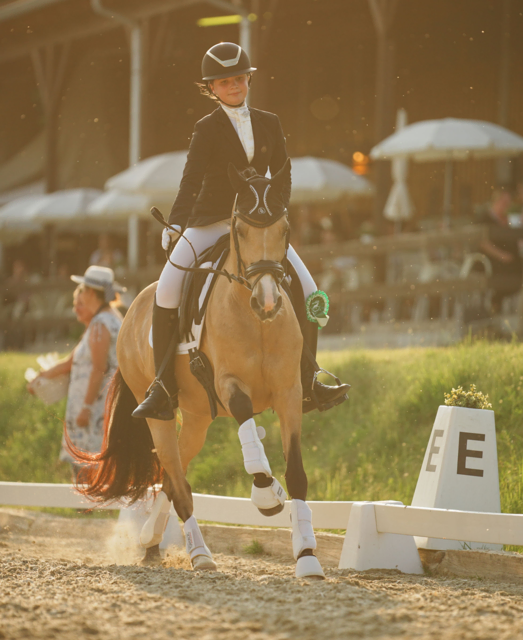 Foto: Hartberger Reitverein "RC Dressage Group Styria"