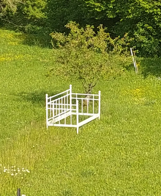 Ein Bett im Kornfeld