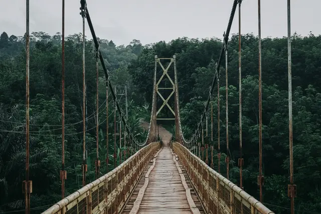 Beim Einsturz einer Hängebrücke in Indonesien stürzten zwei österreichische Touristen rund 20 Meter in die Tiefe und kamen dabei ums Leben. (Symbolbild) | Foto: Unsplash/Devi Puspita Amartha Yahya