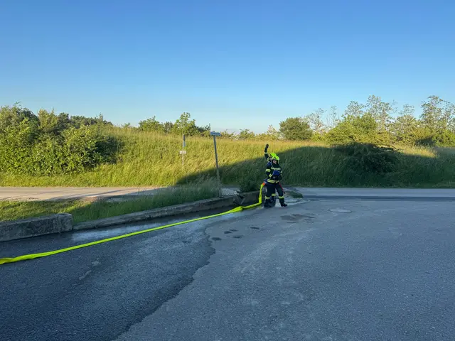 Foto: Feuerwehr Mattersburg