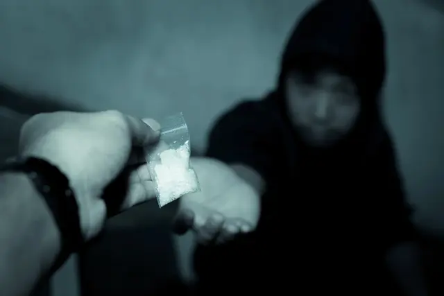 Polizei zerschlägt großen Drogenring in Wien und Niederösterreich