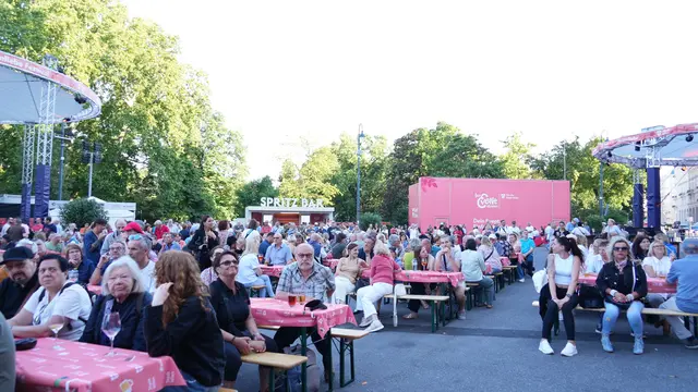 Knapp 64.000 Gäste besuchten das dritte Wienliebe Festival. | Foto: Barbara Schuster/MeinBezirk