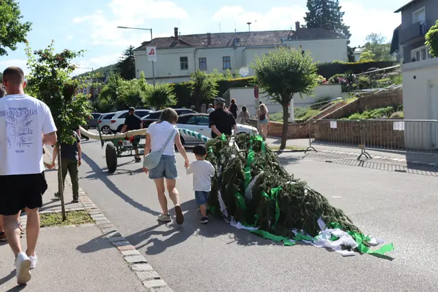 Foto: Alejandra Ortiz / MeinBezirk