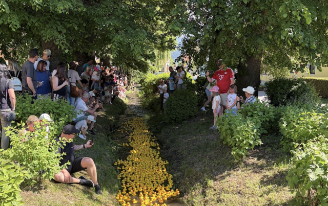 Beim Familienfest in Spielberg gab es einen Bach voller Enten