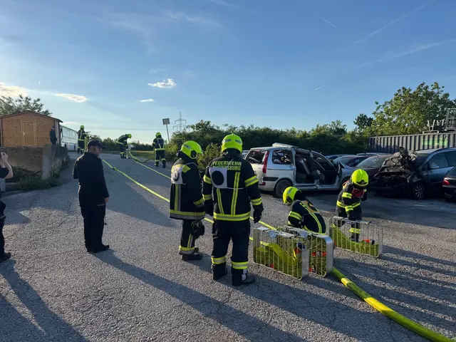 Foto: Feuerwehr Mattersburg