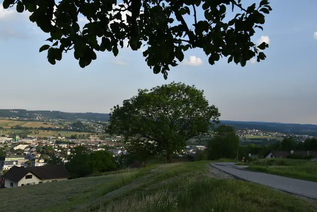 Ein persönlicher Lieblingsort: ein Bankerl mir Aussicht auf Hartberg | Foto: Foto: Larissa Wieser