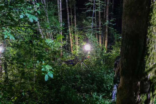 Foto: laumat/Matthias Lauber
