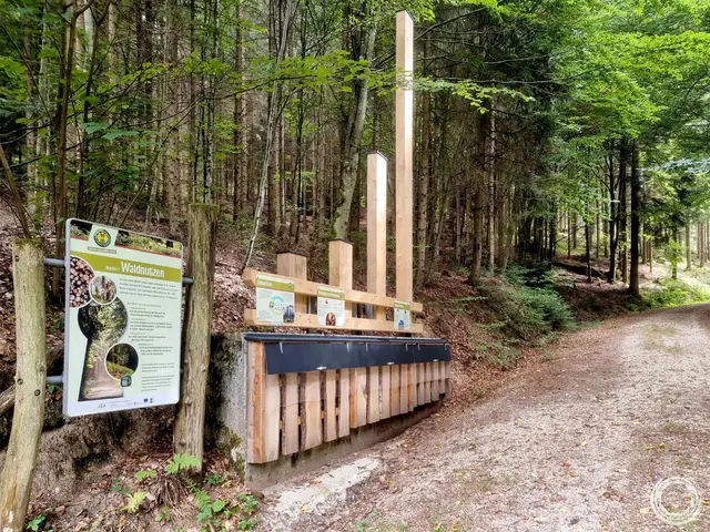 Kraft-, Spiel-, Sport- und Lernplatz: der Natur-Geheimnis-Pfad am Kranzberg