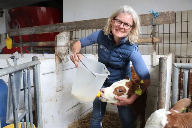 Ortsbäuerin Manuela Pleiner mit dem Kalb „Spezi“ im Stall – ein Einblick in den Alltag am Bauernhof in Pfaffing. | Foto: MeinBezirk/Hannah Hingsamer